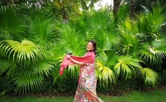 三生三世十里桃花多少集